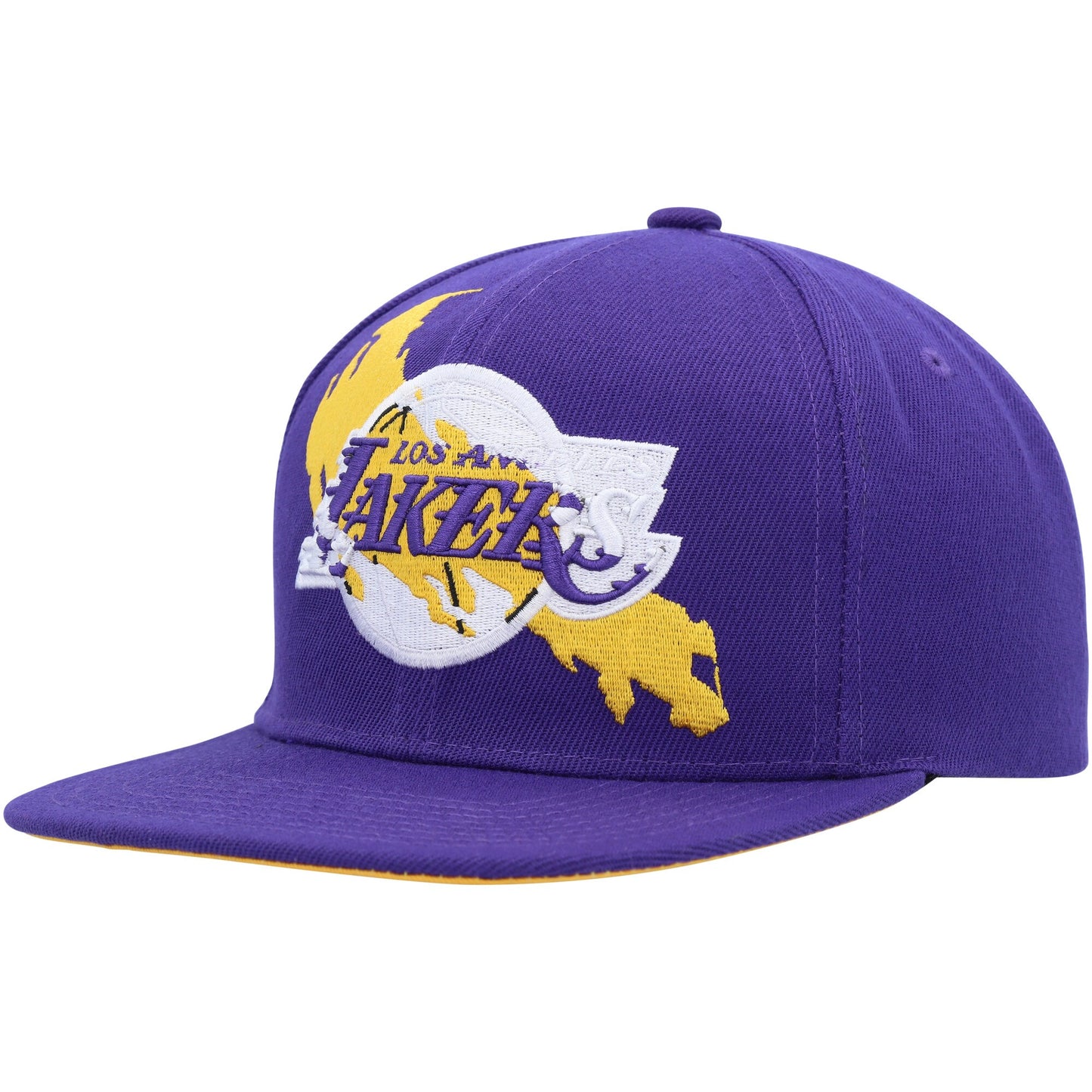 Los Angeles Lakers Mitchell & Ness Paint By Numbers Snapback Hat - Purple